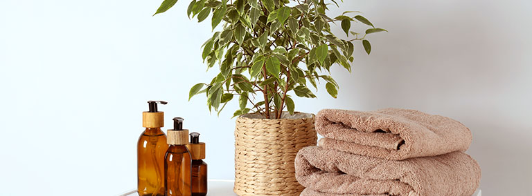 Ideias Criativas para Decorar Sua Casa com Plantas
